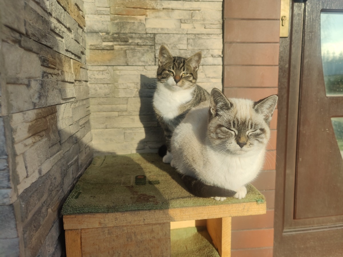 63831b4f-0506-4c70-8f5c-3a5d89fc4fb9