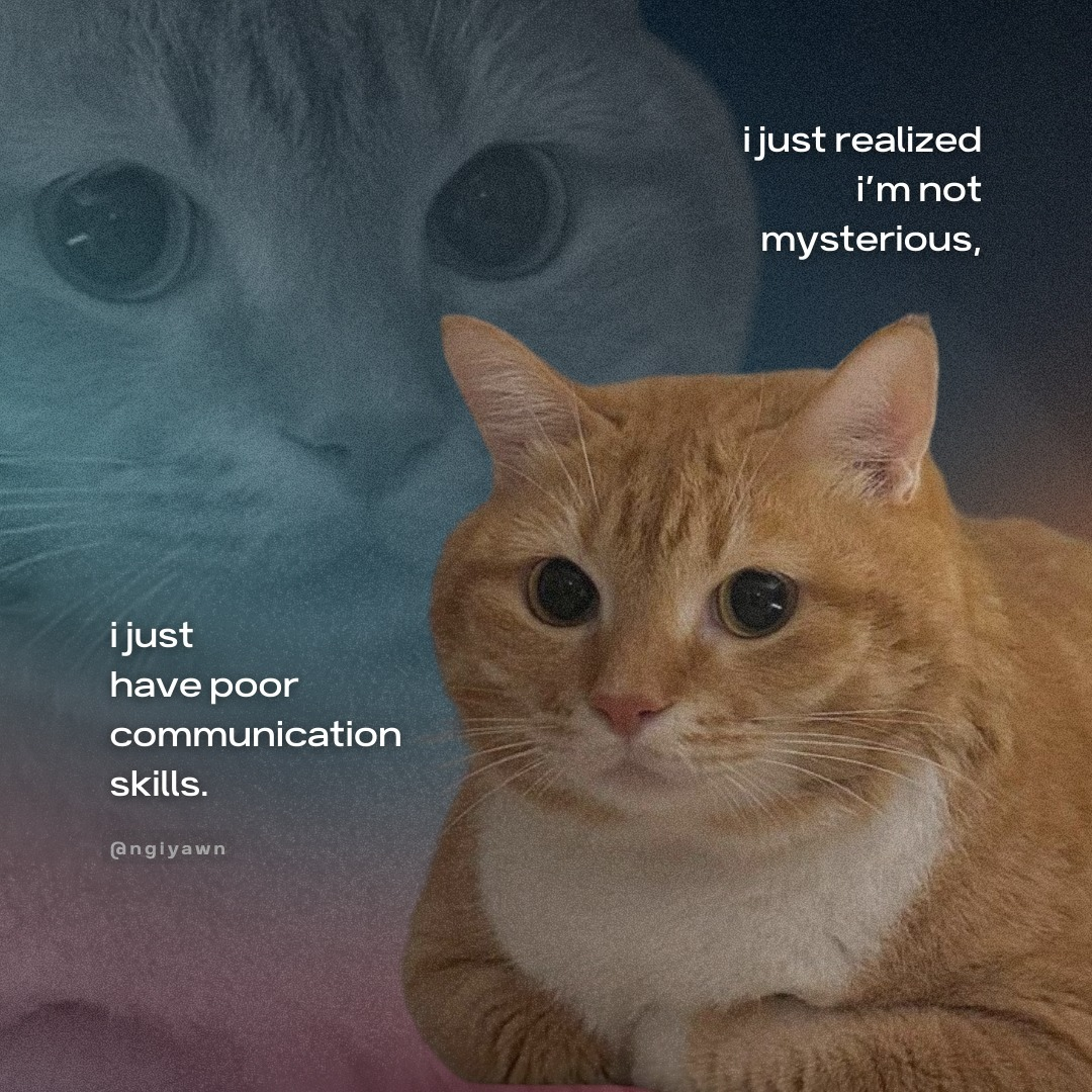 47ccf437-a7f1-4d40-963f-dc531b4d8e39