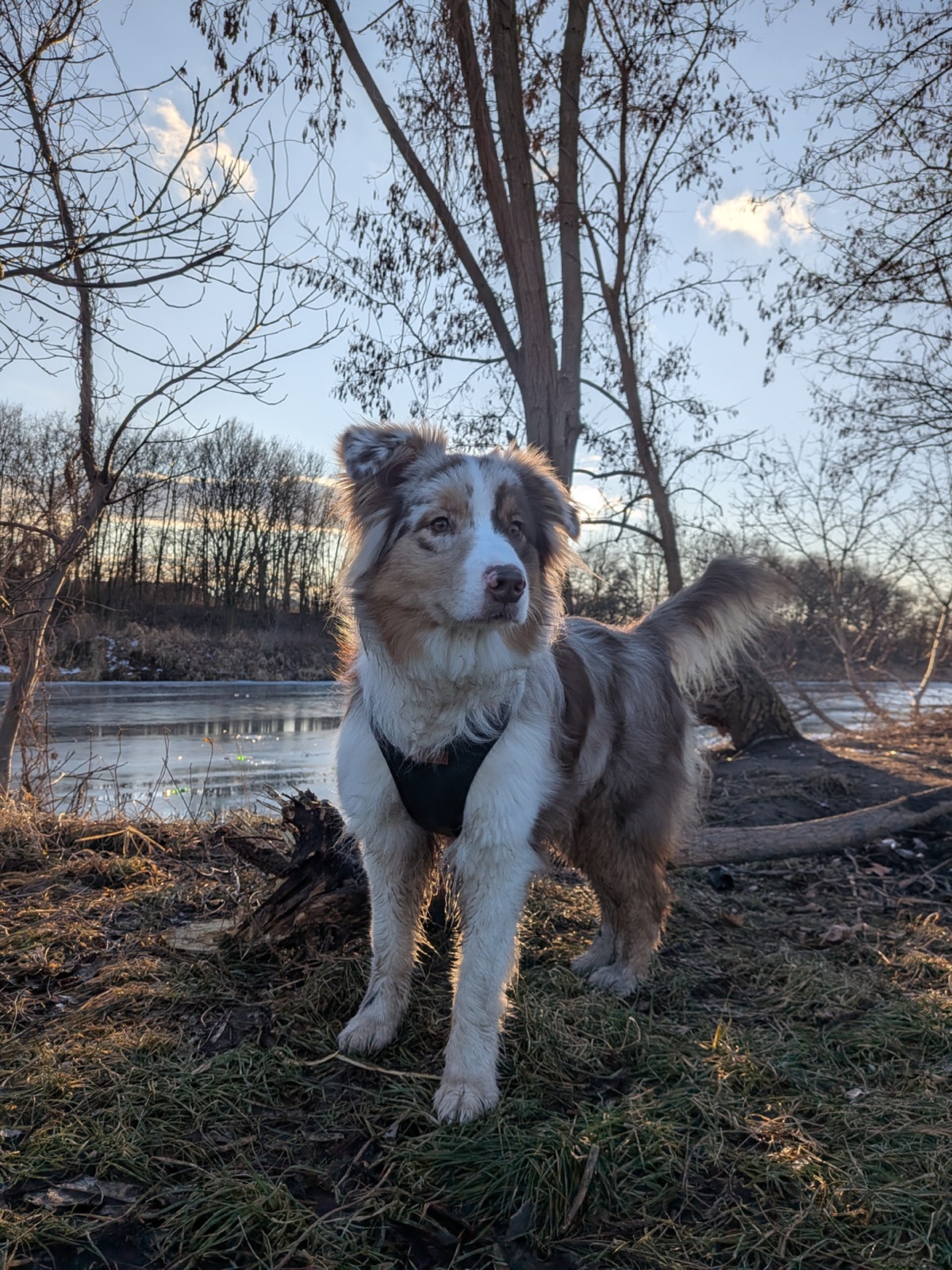 edfa5658-5762-4353-97d1-50cd1e852a2f