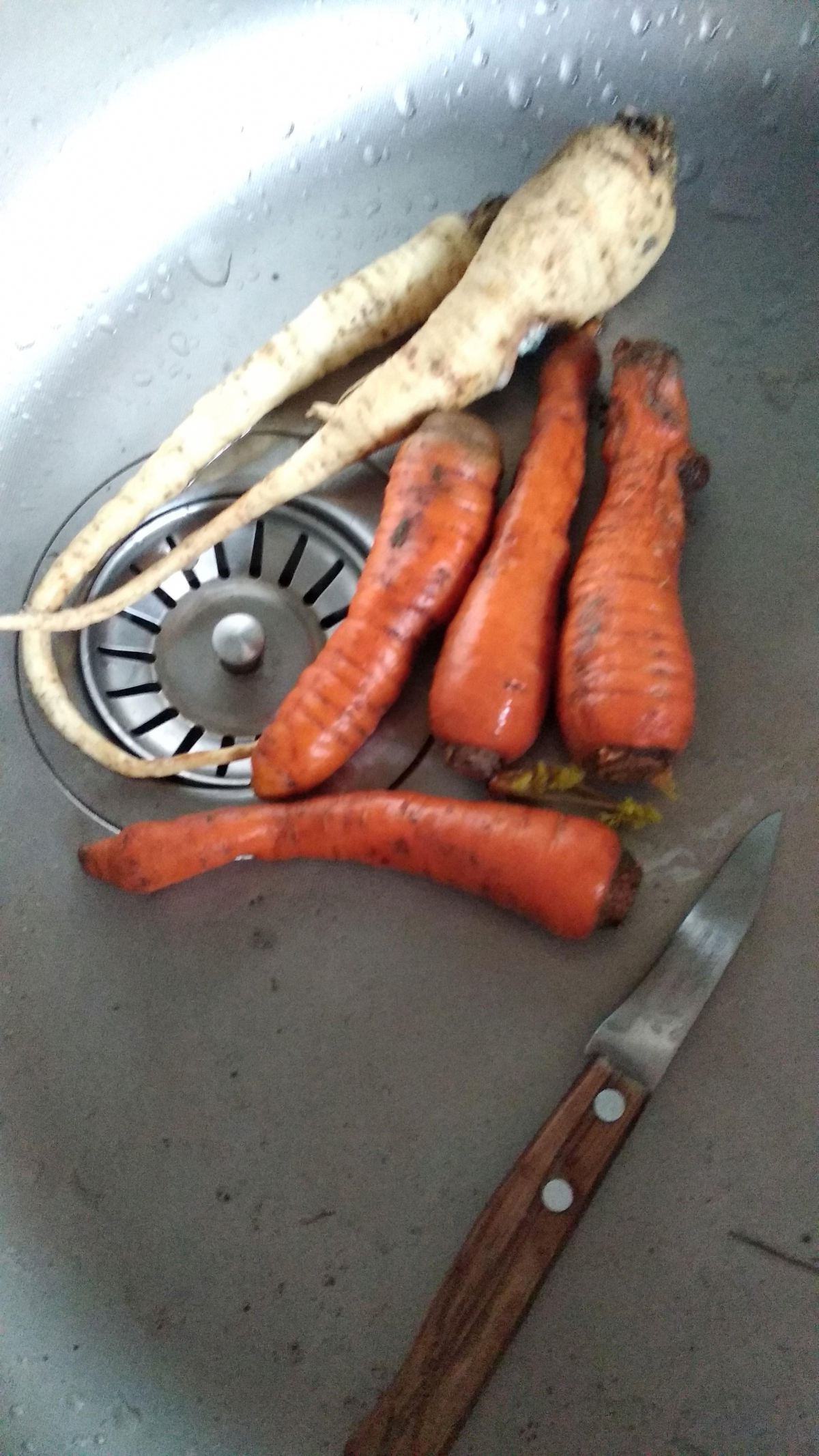 c118d8fe-fa45-4fc0-91f1-47d0caa4fccd