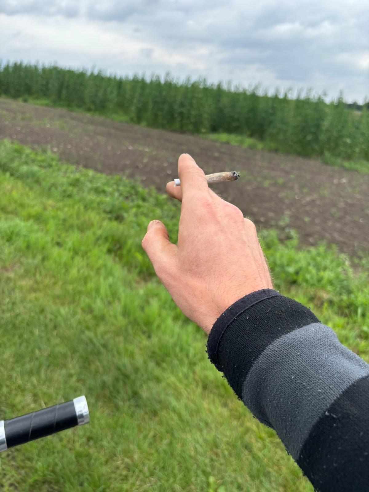 13673276-095a-4d94-aee2-06d068eaac75