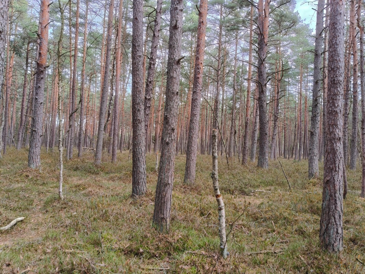 fa8729e3-bbec-4ac1-a199-35dd29b47175