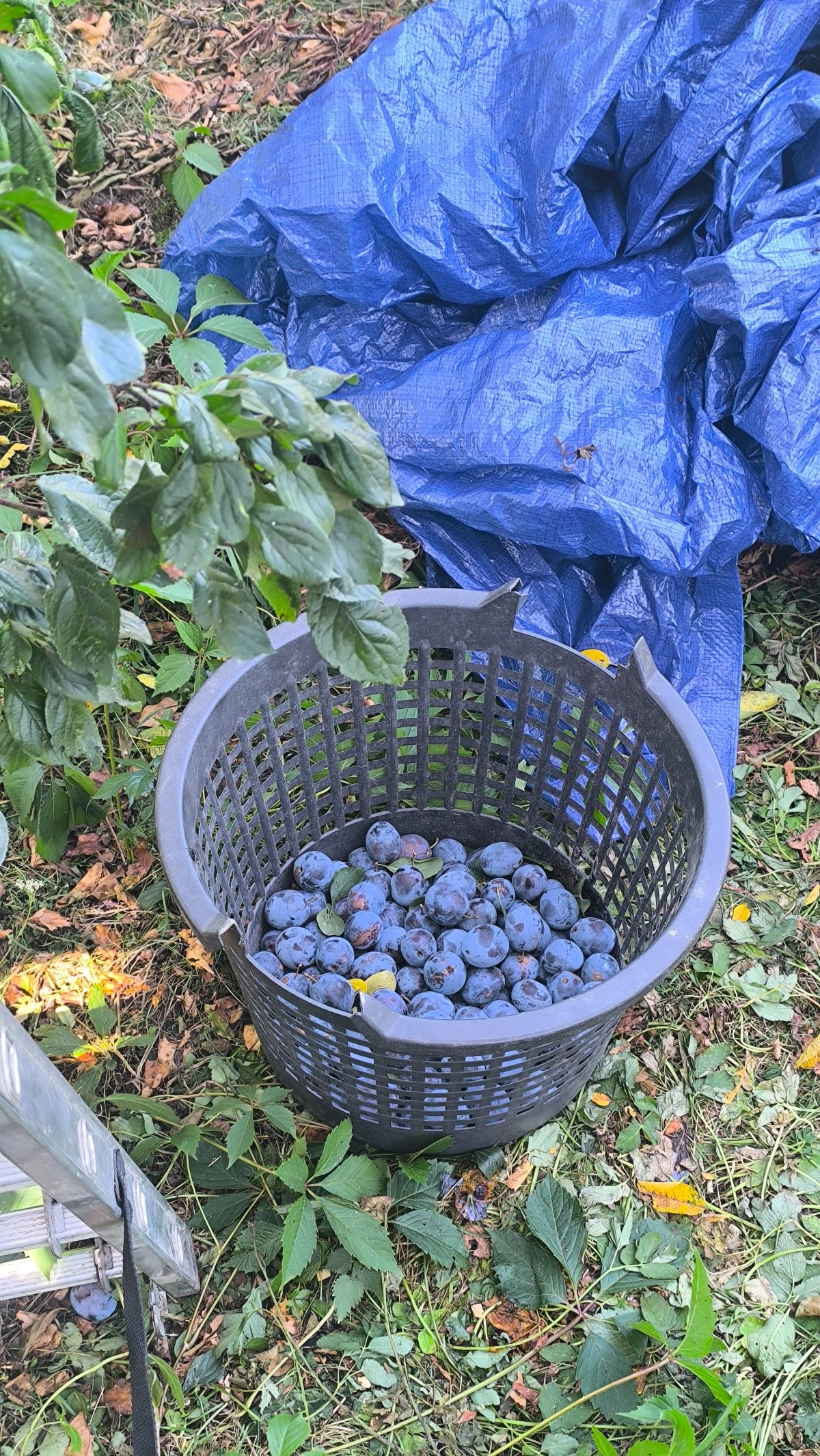 a9ab4da9-e18a-4a4c-8e77-57a751bbdd62