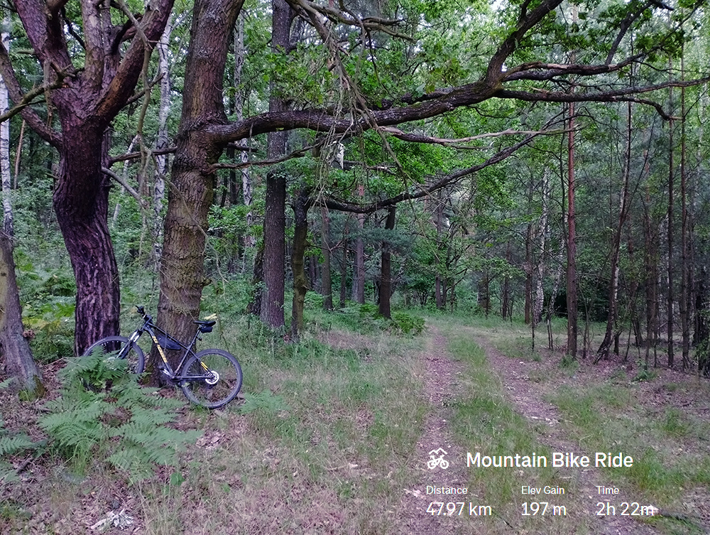 18a775dc-94ee-4f4e-ae02-6aded57f6ac8