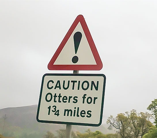 98690892-1a66-425b-a370-be79abba7a81