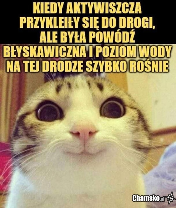 793506d8-78b9-4b0a-bcaa-493fa2783592