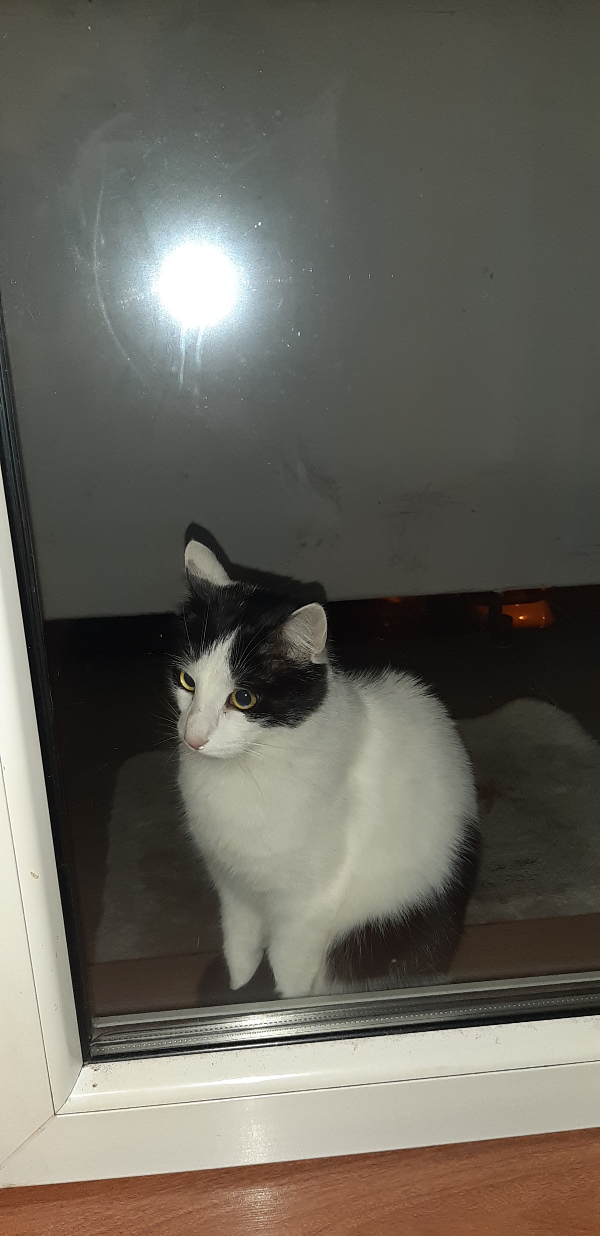 2698a7fa-512c-4c76-bd78-27202efc4ee9