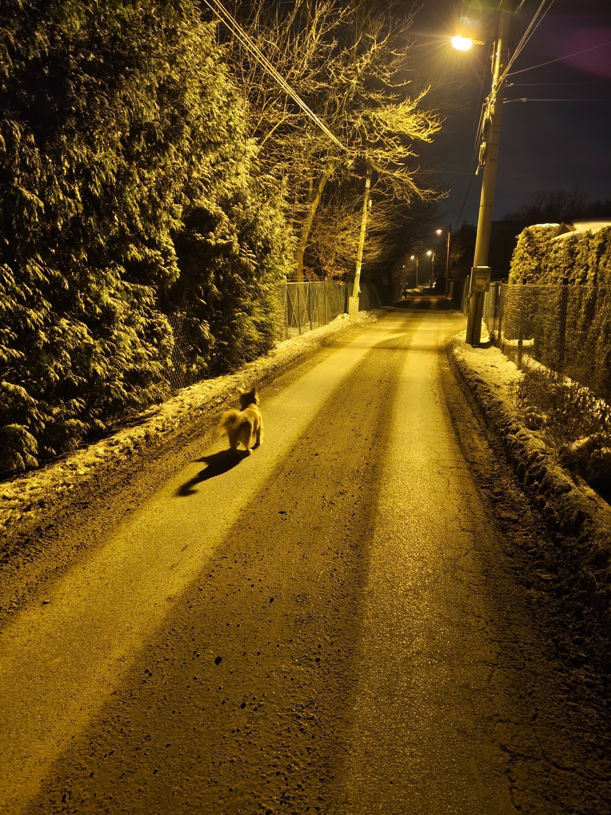 9e69aa77-1ef2-4c14-b169-cda34214aa71