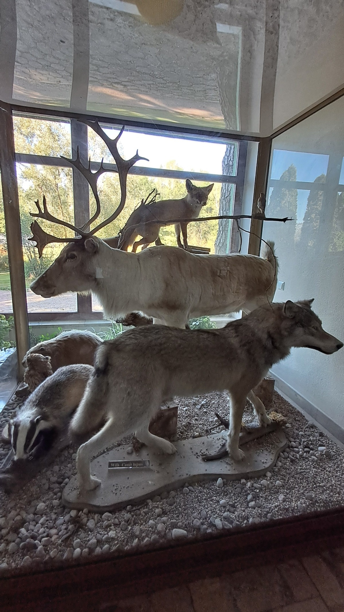 38875704-1795-433d-97c9-2125c86b821b