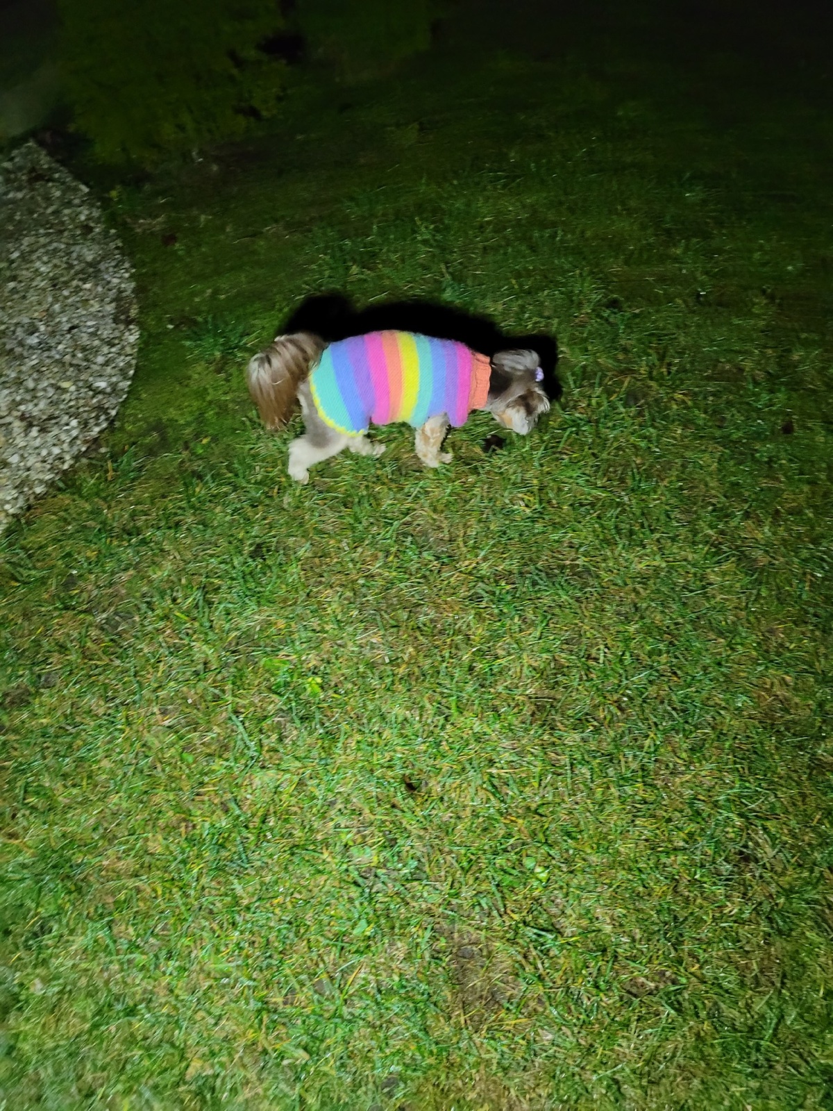 8d23b652-dd91-4efb-9c06-0860d46fe853