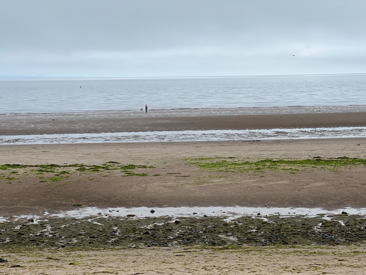 999734be-04a7-4e2e-bf03-132209d4ce93