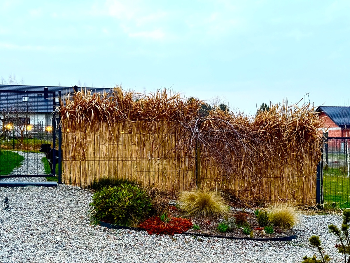 5b47e13f-80eb-4760-ad39-7e15b1cbc864