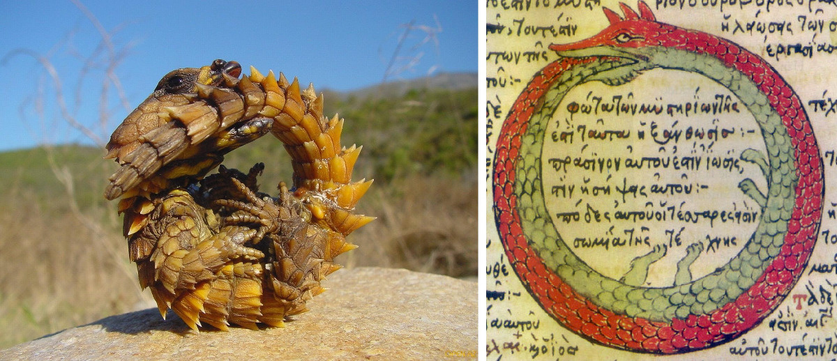 67d8c62b-73f3-4f24-9f28-34e6ebbfac77