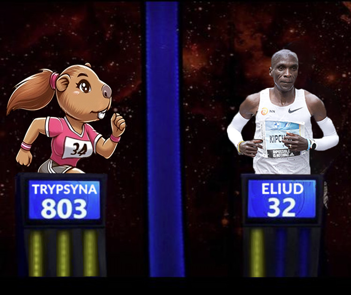 336ab8d5-9045-480a-8e3c-7014b0d7fc40