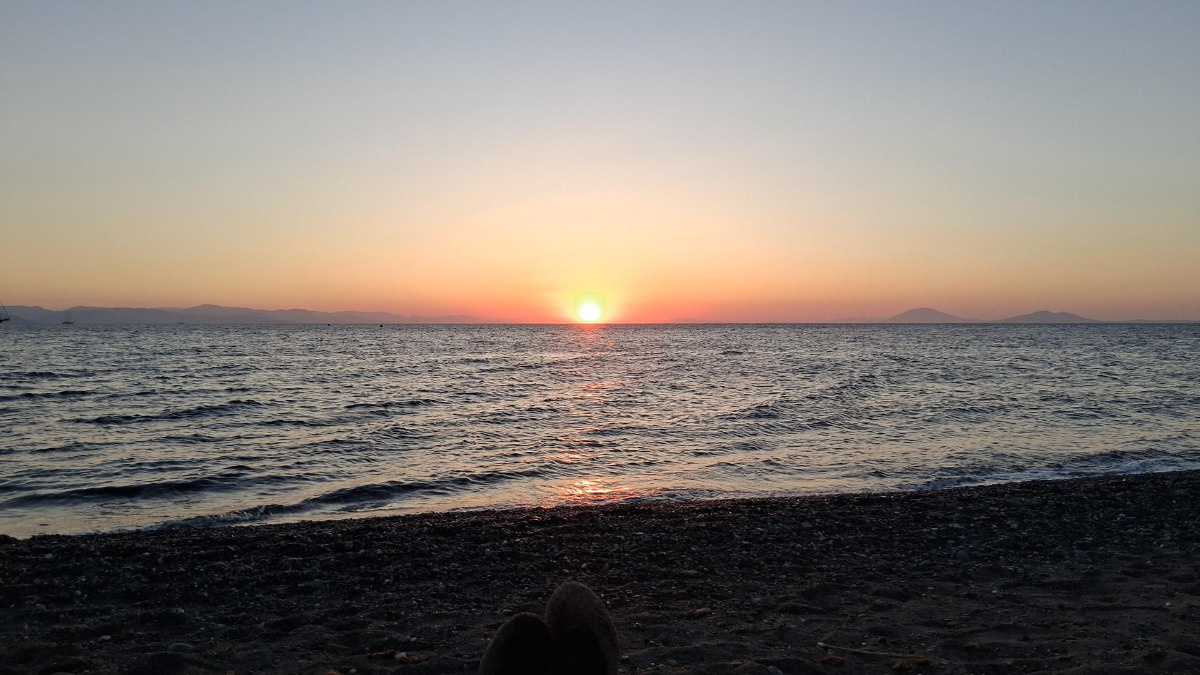 bc5d26f5-4321-4b4e-b1a4-f6e5a6680a9f