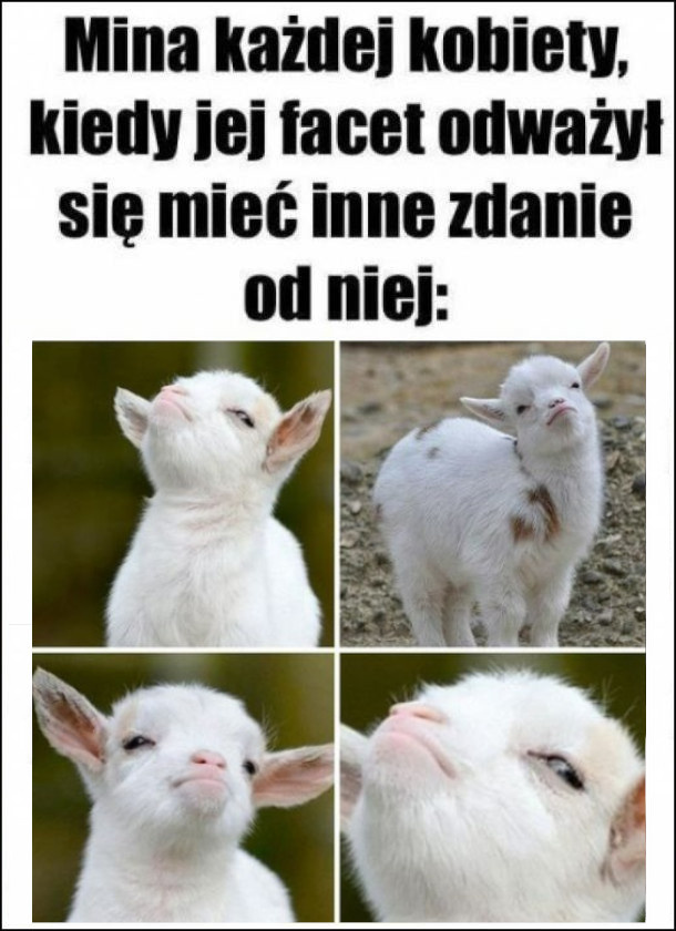 e6e313d2-7fac-44dd-92cc-02545693467c