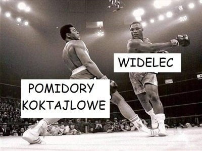 c06adc66-ae32-4fb2-bc81-8cfb6547cf96