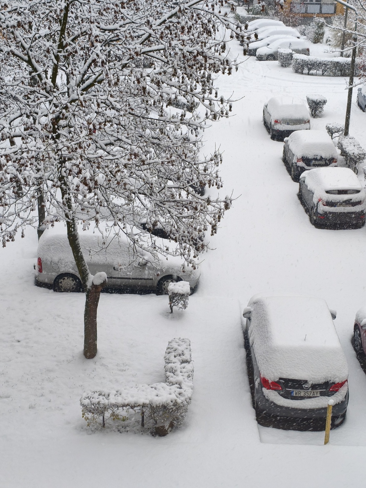 de4a8152-965f-400f-bb6a-dade11e1656f