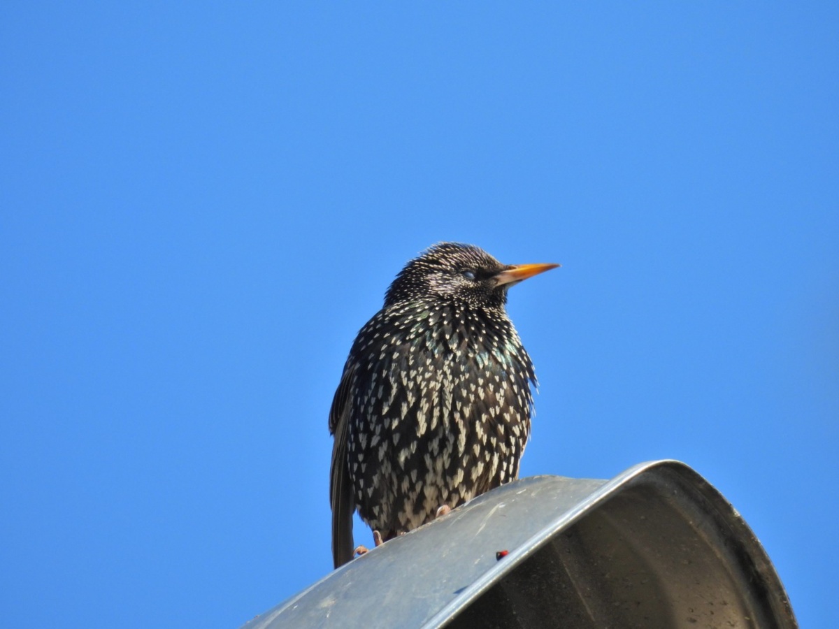 07832237-31e2-49bc-97d2-3fda8e11a0fe