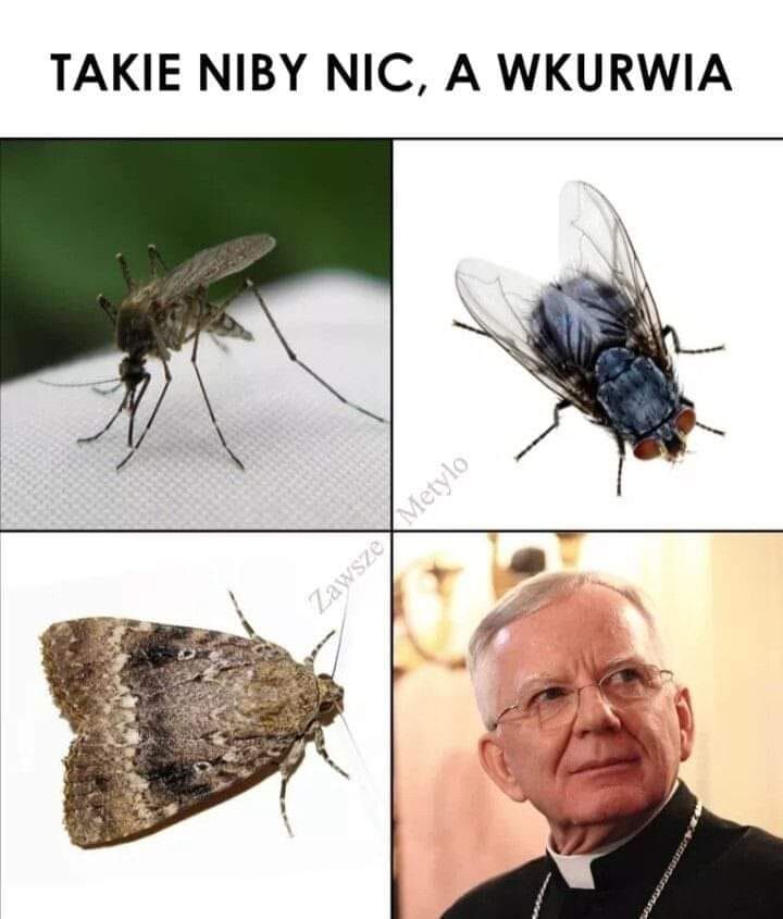 c0306bac-b129-4074-977e-120e430a0180