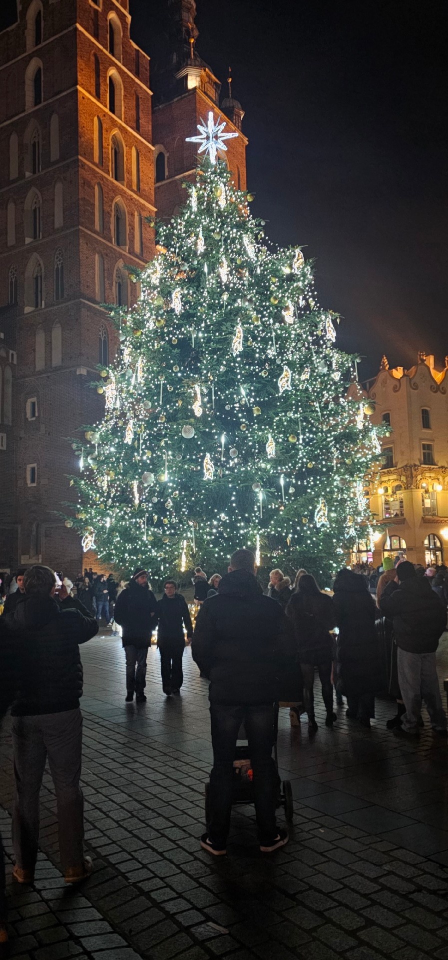 61f94c62-8ae4-4e4d-bf3a-8e450d16e0dc