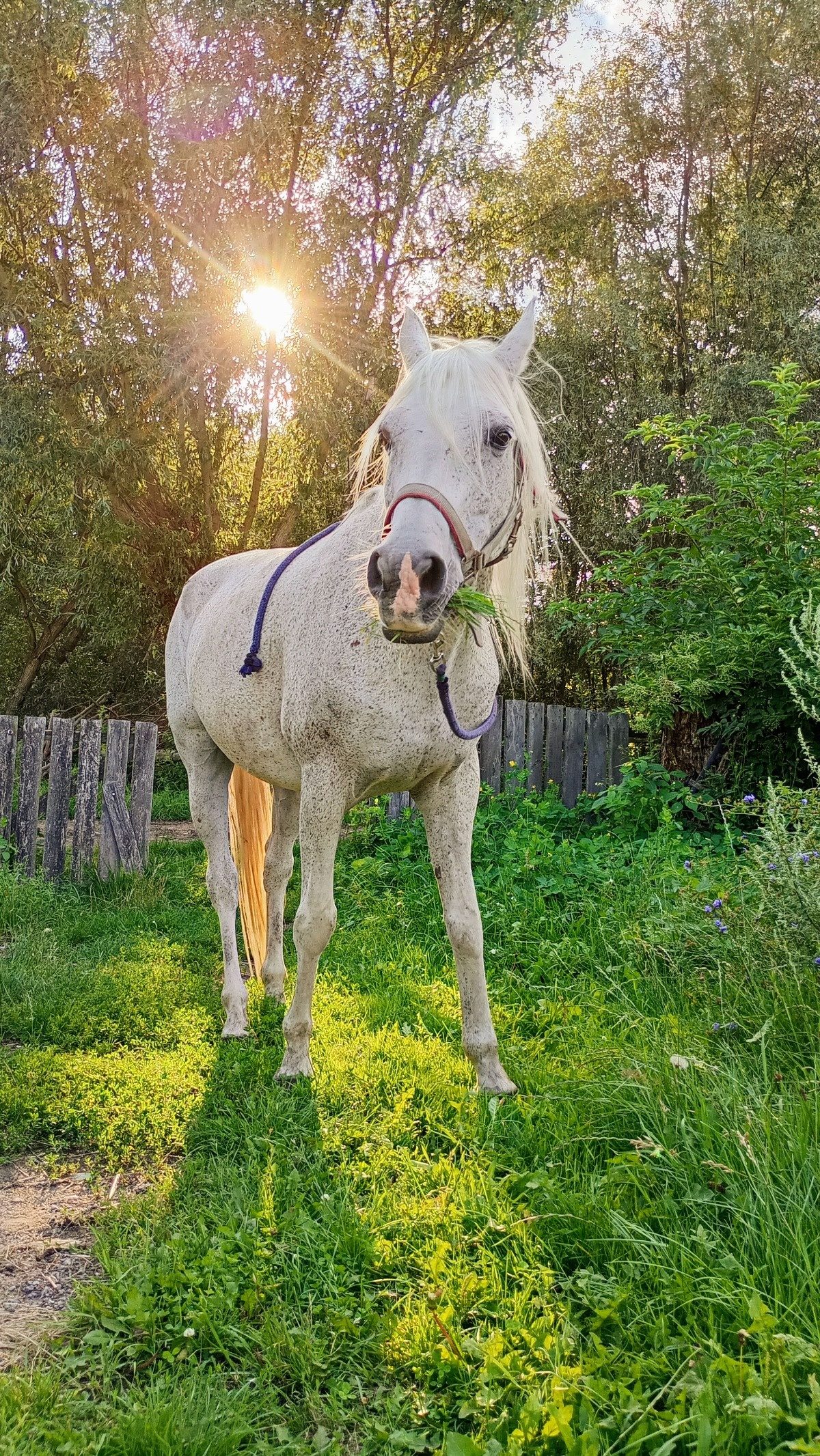 7786ea0a-9050-4205-9e2f-898aadc6c17d