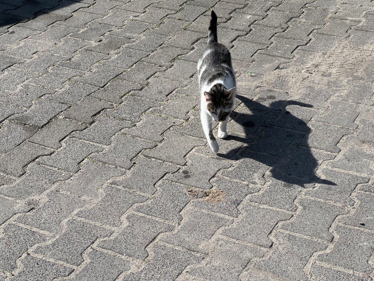 5ffb9e1a-a6bd-4b83-be4a-6b7d6f7476f7