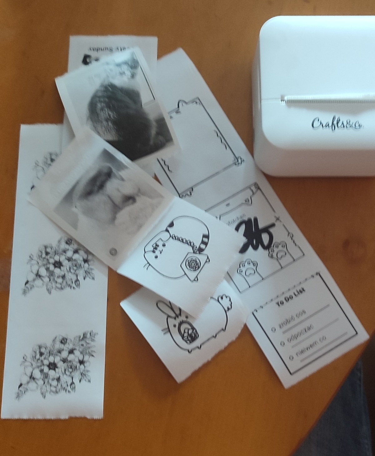 81887b84-02b8-4a6e-9a78-3d873a7ef699