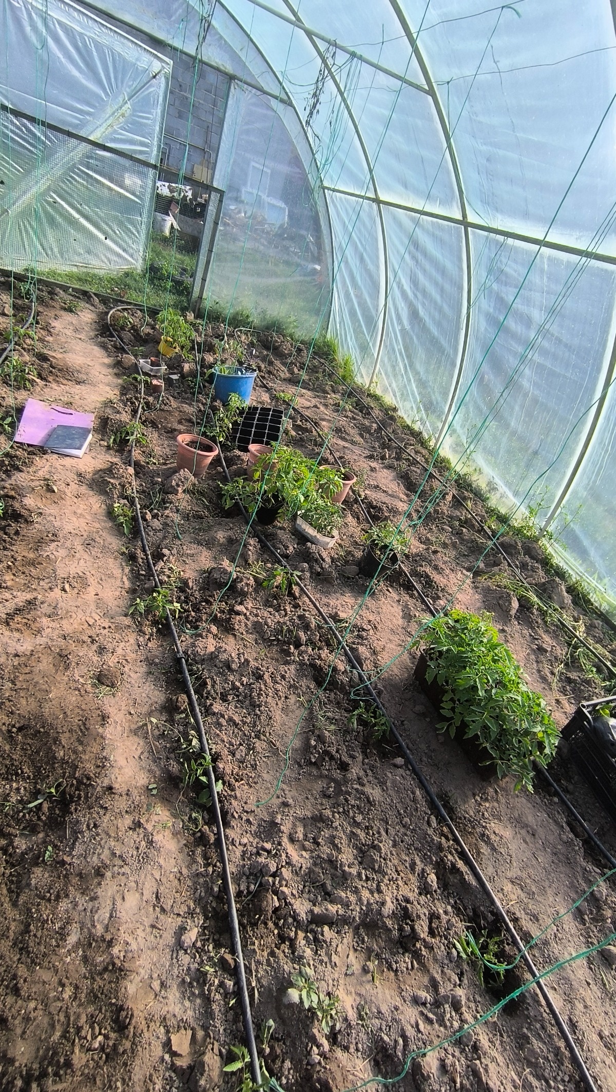 c4e2b97d-98dc-4f37-8a52-5158e2a8ed55