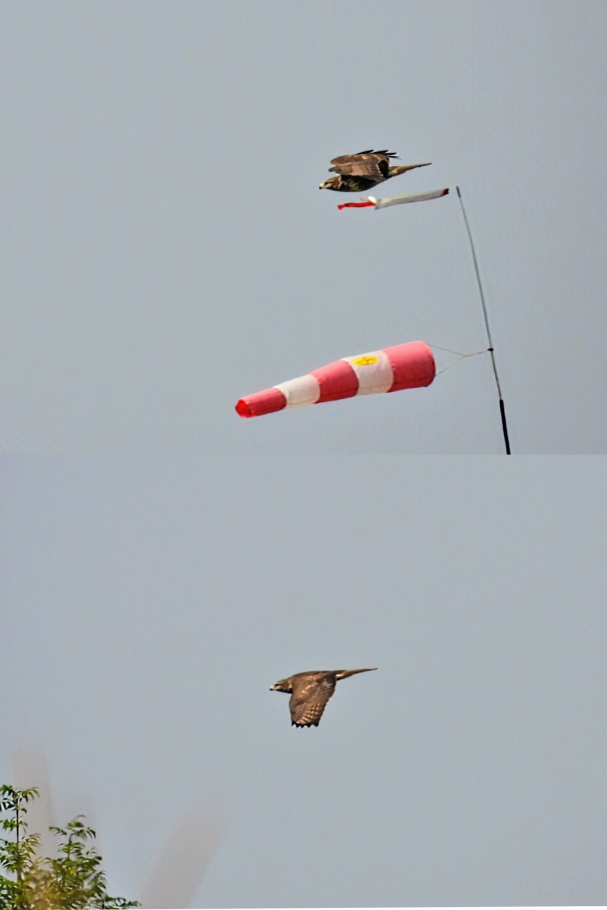 961f1049-171e-40f0-981d-218c7b485f51