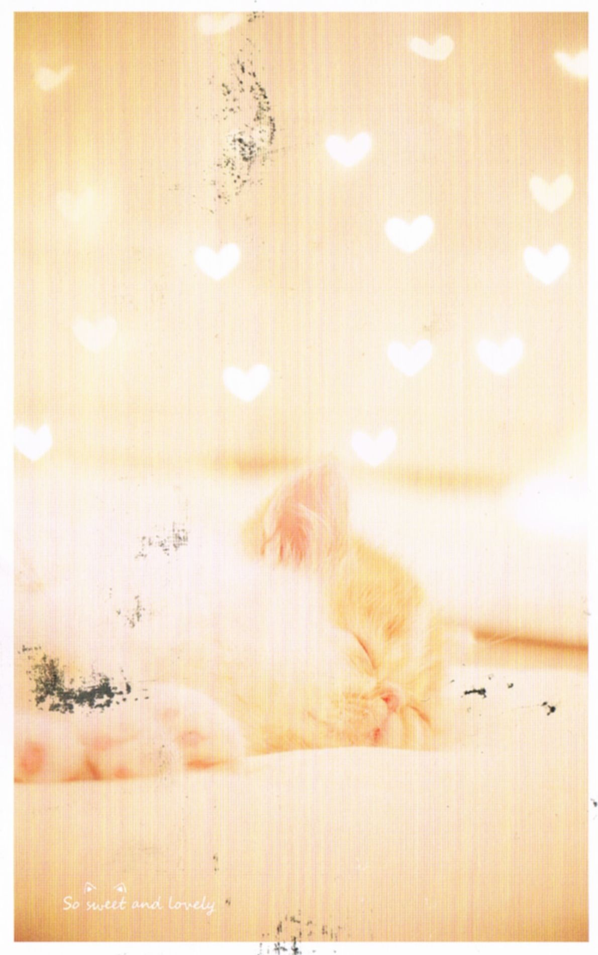 50a661a8-d49b-4c68-bc4c-1df865bc8226