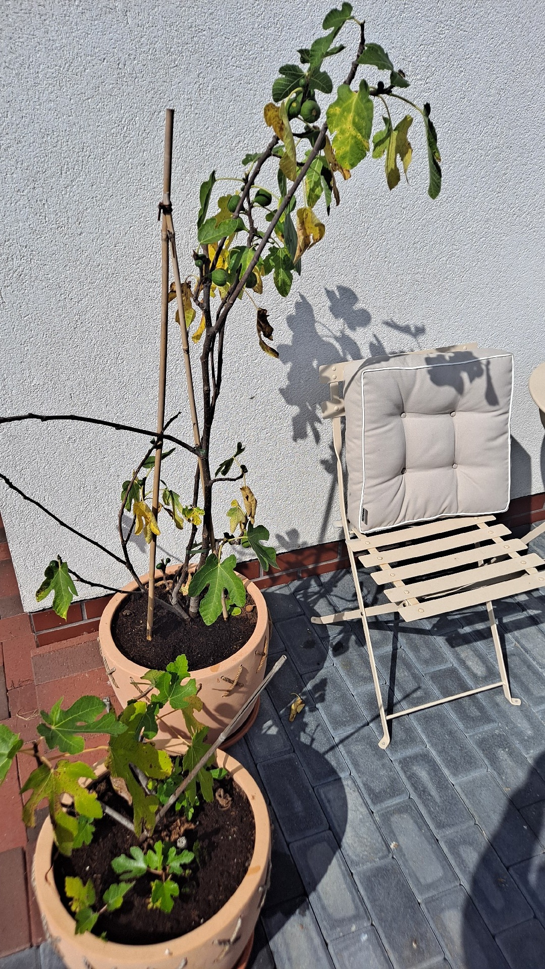 246aaed0-b945-40d3-82a2-5da5f30febd7