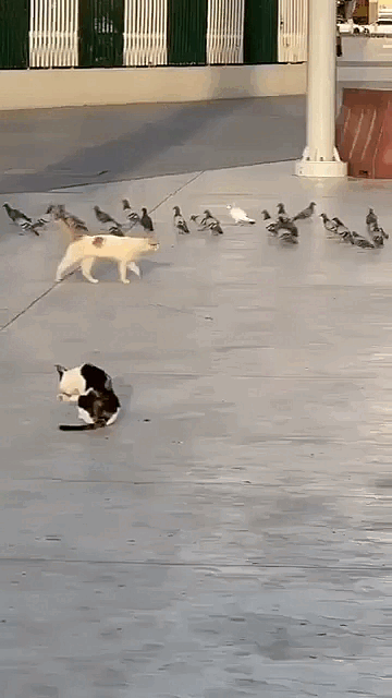 6bbd8e12-6a9e-41b6-8e47-f8ee63fd993c