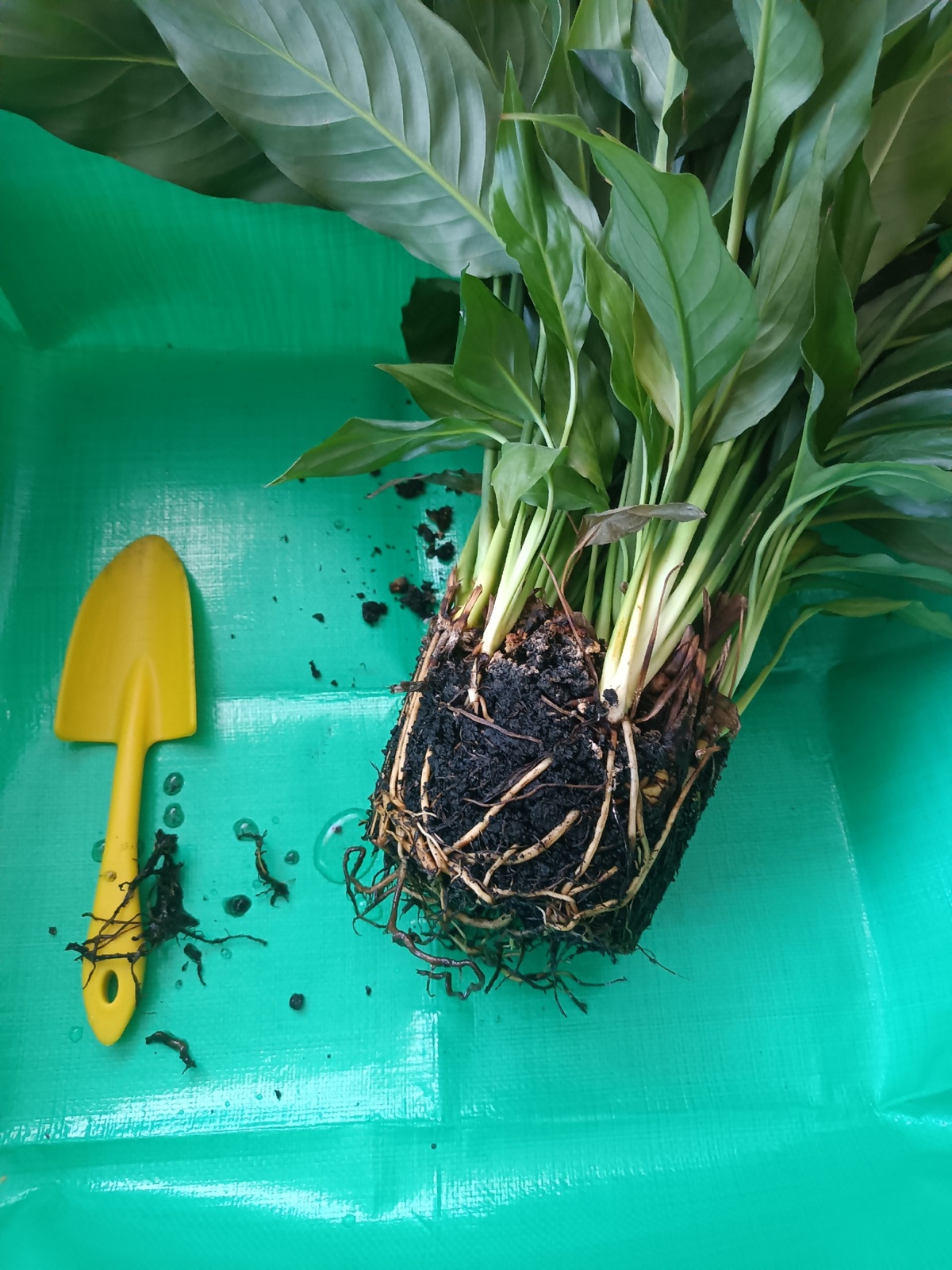 d2f843f8-d885-42ec-bffb-28e9275bb973