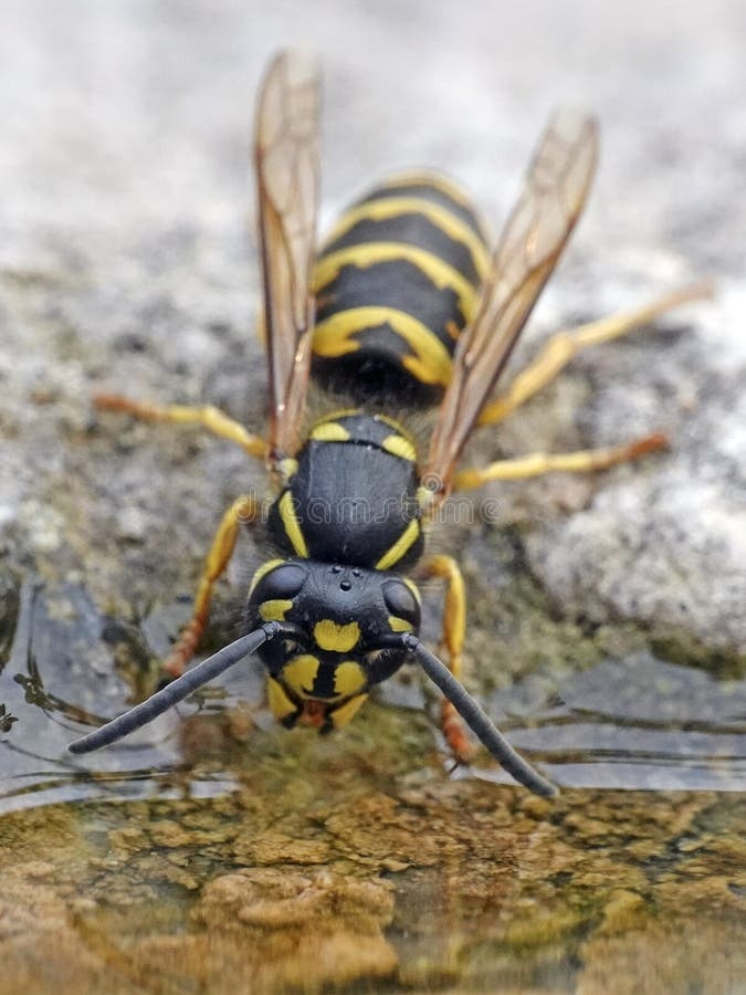 9ff3ac64-8b11-4140-b682-e34f9b79dd22