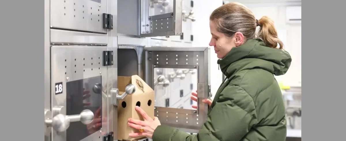 Warszawa uruchamia "Ptakomat". To pierwsze takie miejsce w Polsce