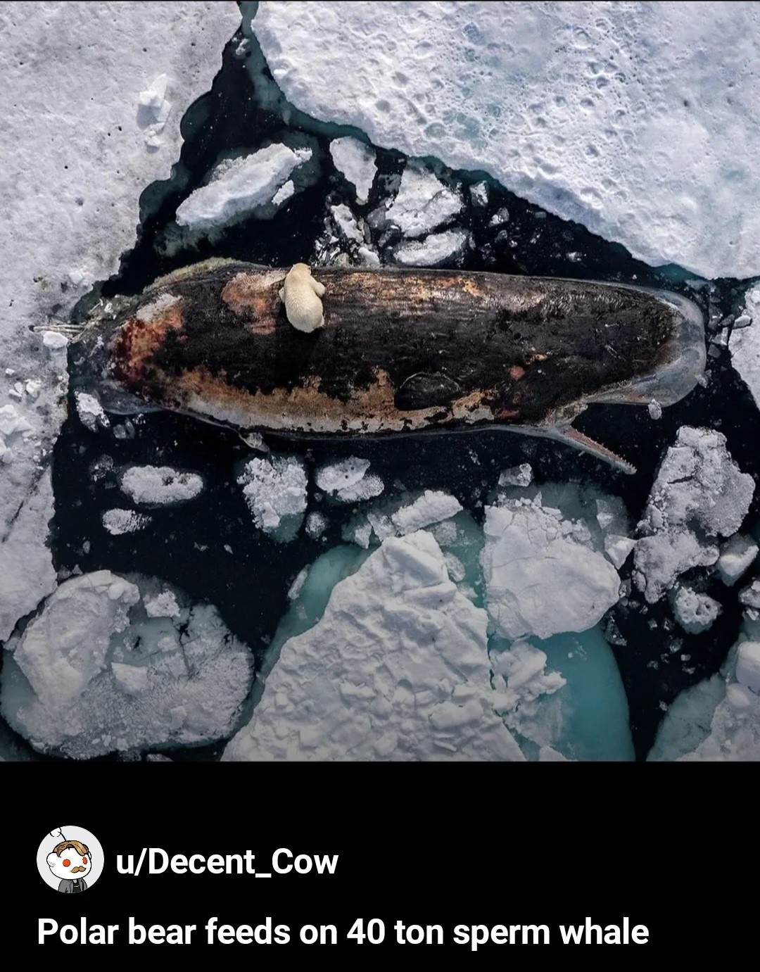 5daa4796-b148-4997-827f-65ef46441607