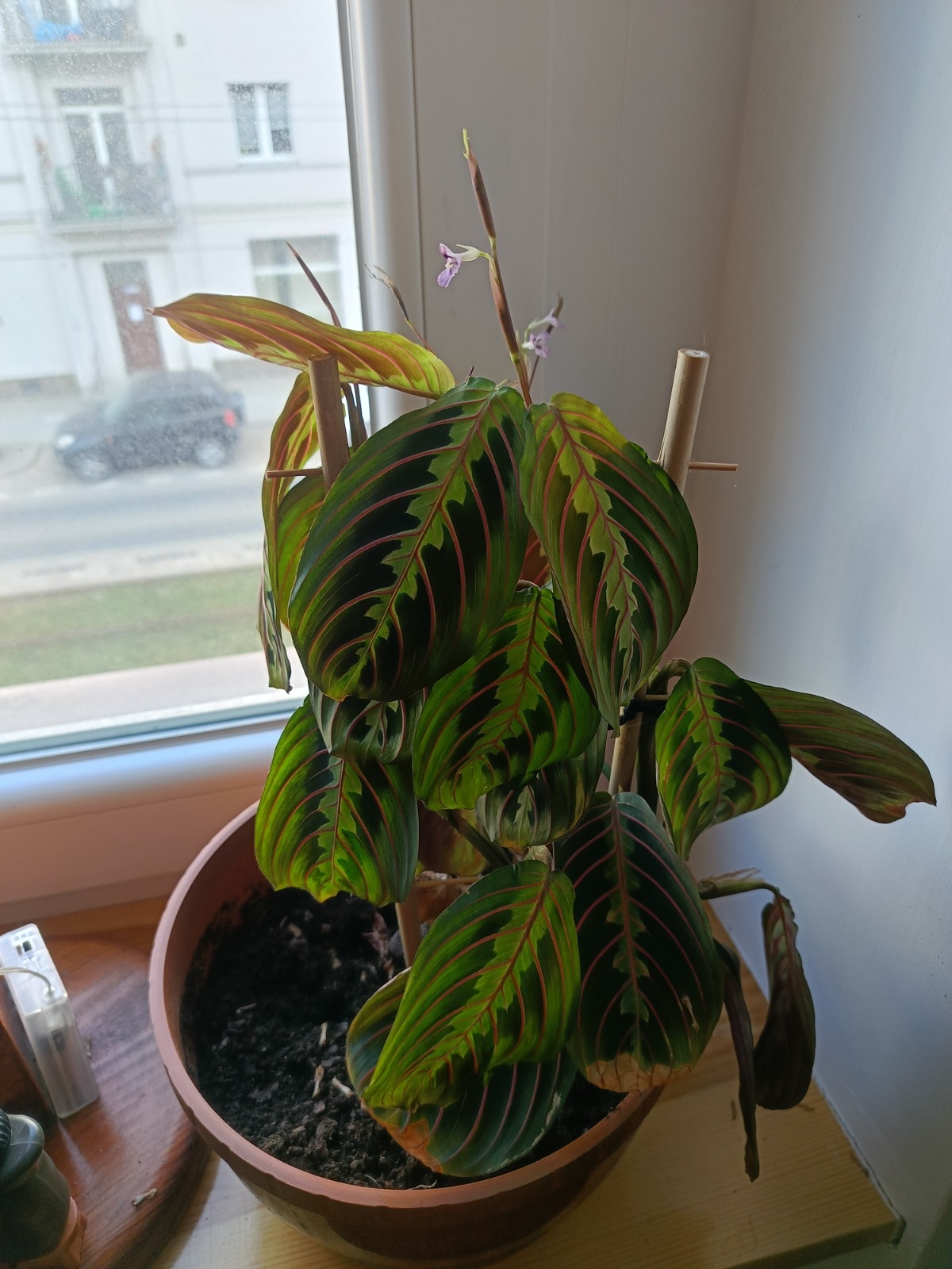 0e0ed5f3-c7c9-4ac7-9f6b-d59f2a3ef013