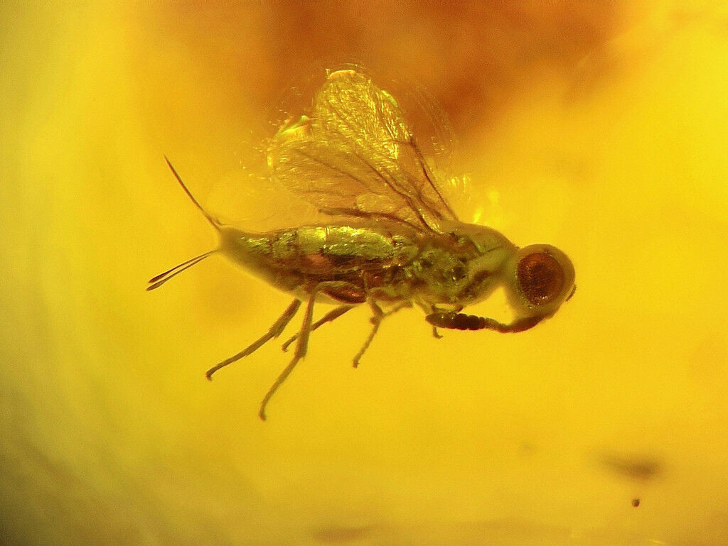 79a11c00-9b7c-42b1-84dc-b03e06fb64d8