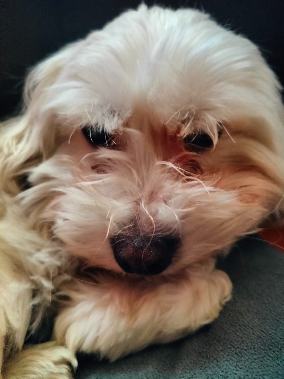 76ef30ee-8c6d-4b9b-bef8-fe783b02768a