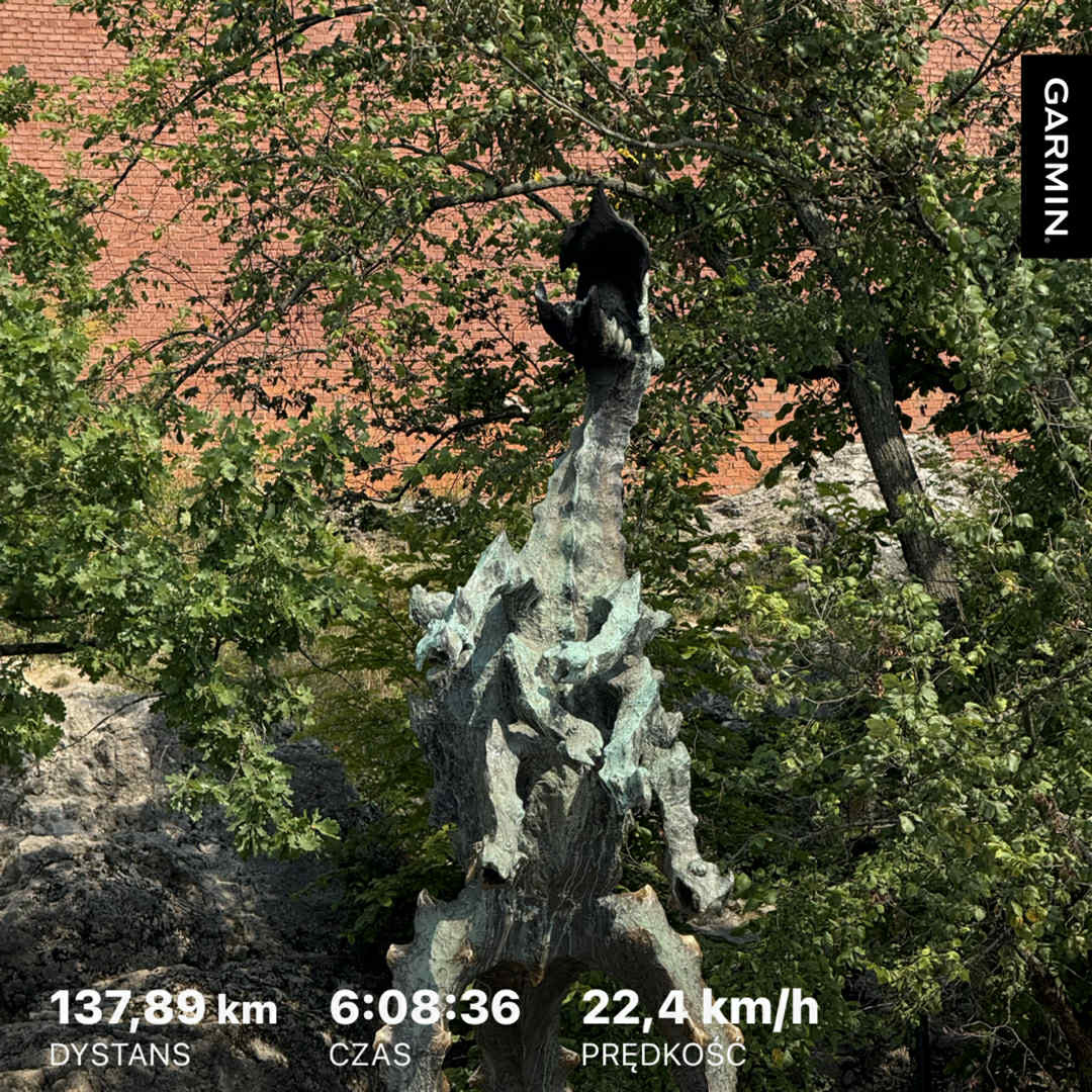 617ddf56-ab43-4a5f-8f57-c6d24c21cdaf