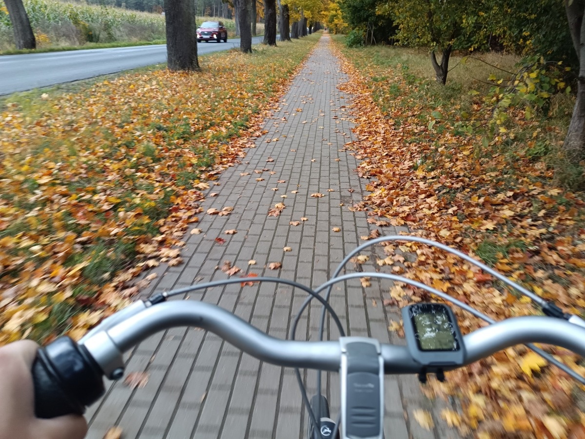 ccb57ef4-56b5-446a-bfc0-2b7659a6005a