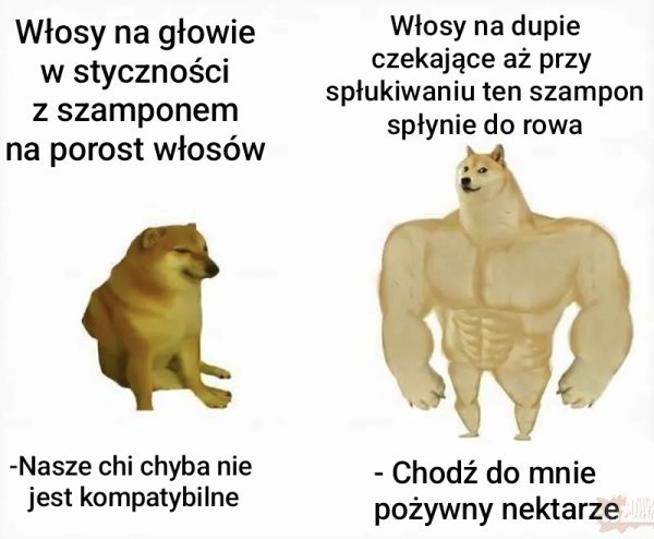 f60bf787-4e04-4ce9-b9ae-ce1d8c0954a2