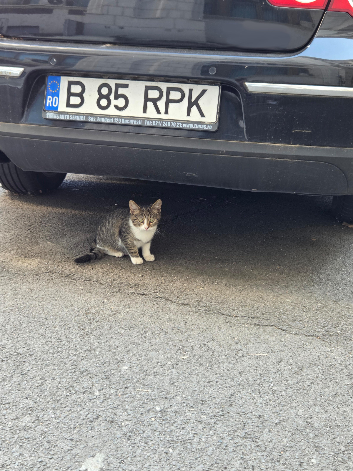 ea400a80-879c-4bd6-905d-018a4847dd68