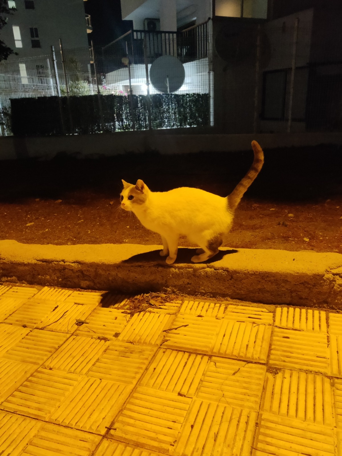 72bc2cd3-6f24-49ef-8f31-3337f294ba3b