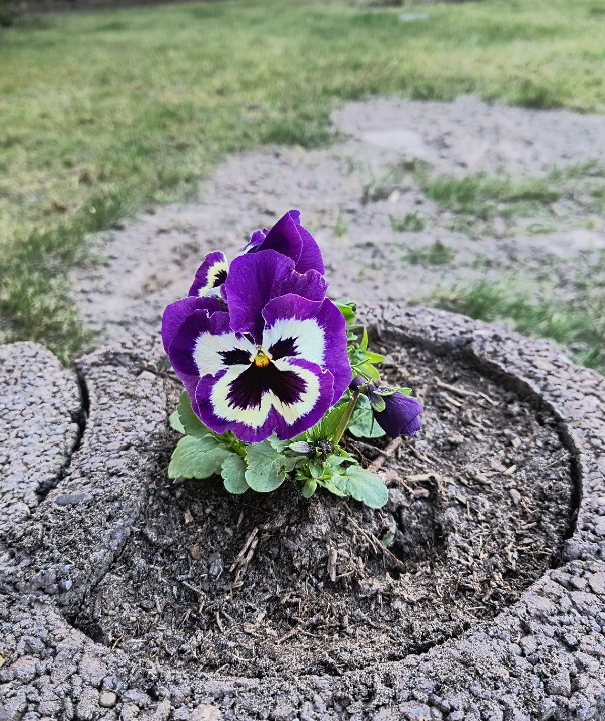 16da319d-c2d2-4e83-bdae-96e3ceb77462