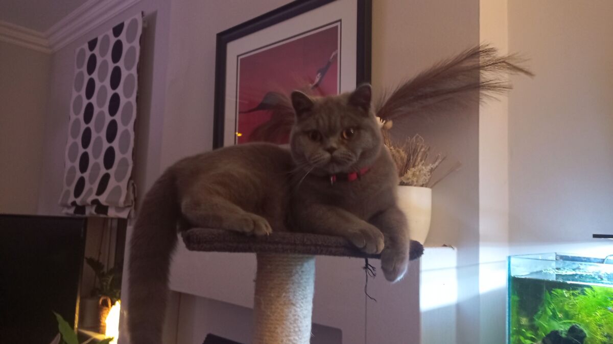 d361a0ac-1e6e-4a67-8b60-51fe9ac603b0