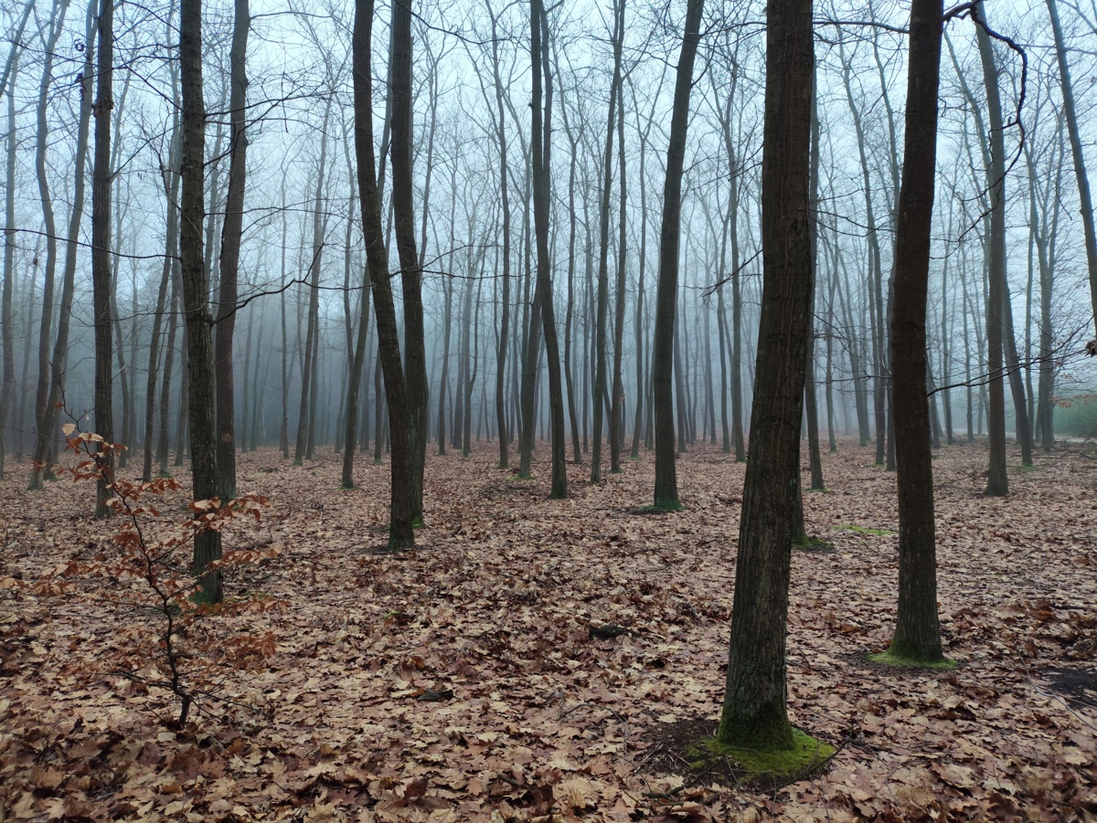 5adb6f22-21ef-49bf-8749-82c3c3249ffc