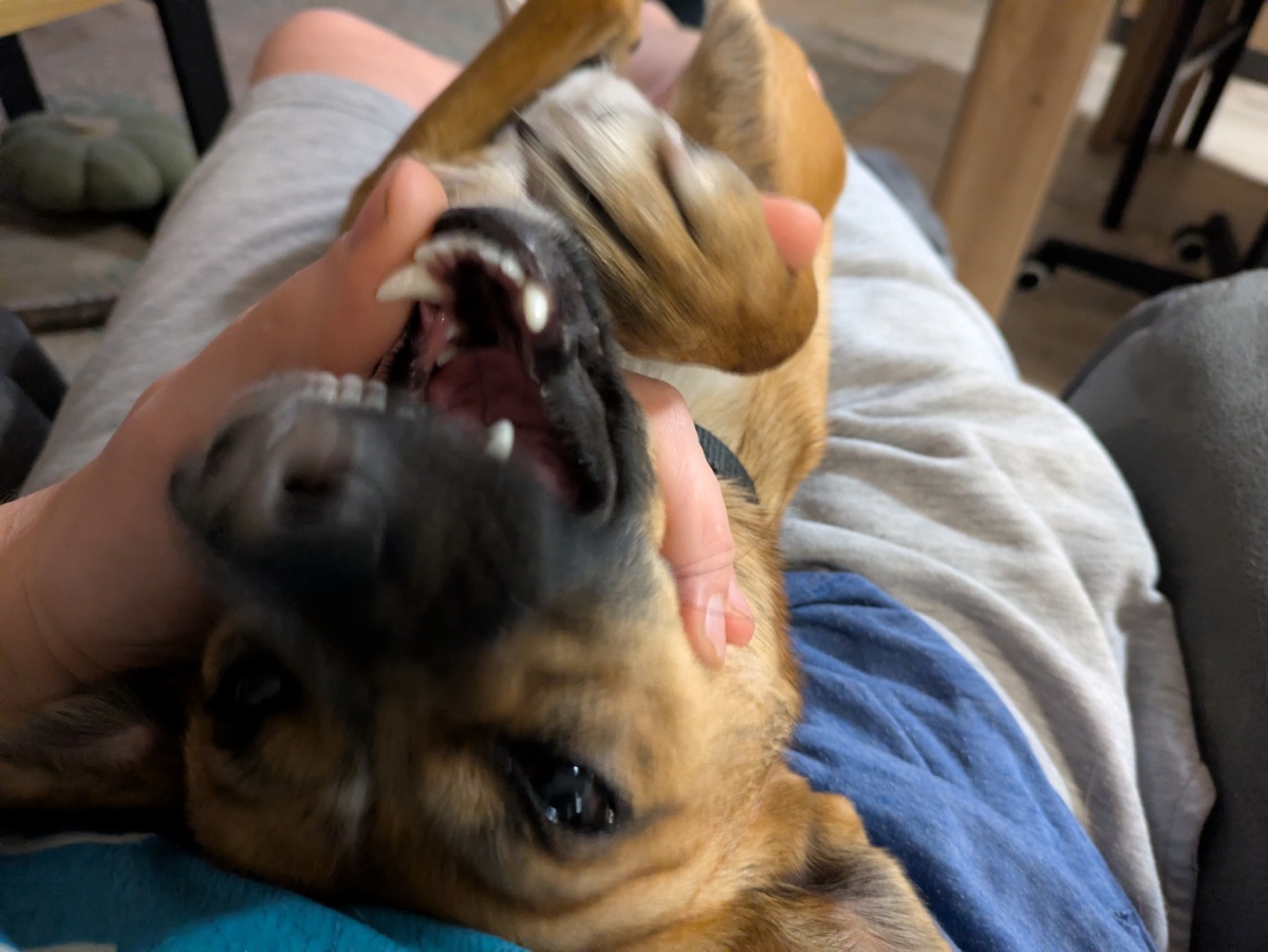 50746d86-bfb2-4b03-bee9-4fd42a2b40bd