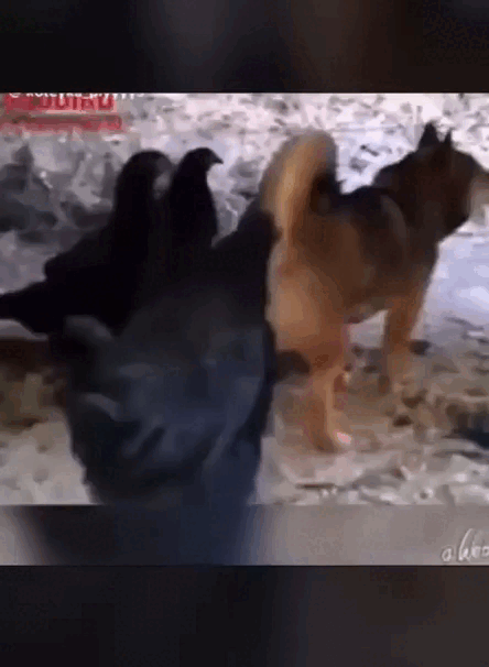 43dd125a-f653-4d4d-b7e9-3ff4ae98b4a6